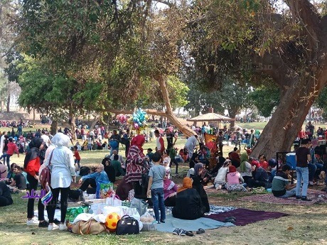 القليوبية.. إقبال كثيف للمواطنين على حدائق القناطر الخيرية للاحتفال بأعياد الربيع 